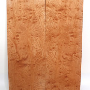 MAPLE BURL